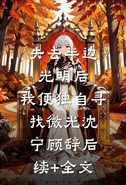 失去半边光明后，我便独自寻找微光沈宁顾辞后续+全文