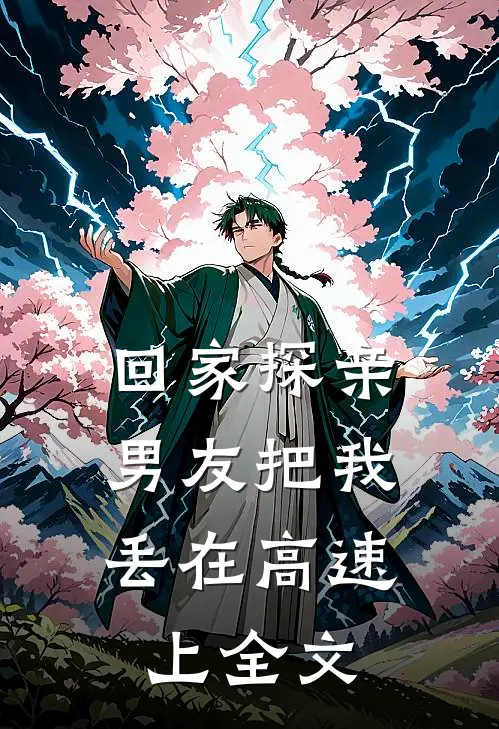 回家探亲，男友把我丢在高速上全文
