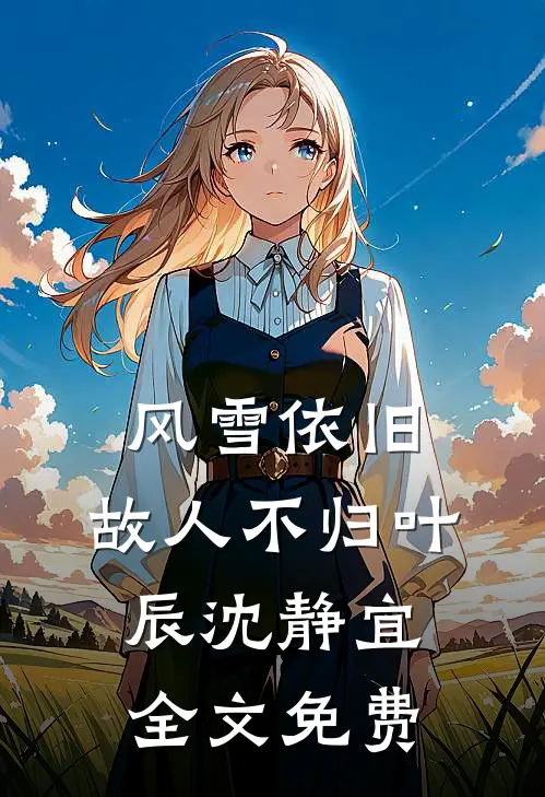 风雪依旧，故人不归叶辰沈静宜全文免费