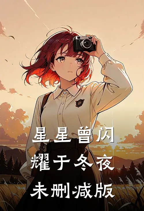 星星曾闪耀于冬夜未删减版
