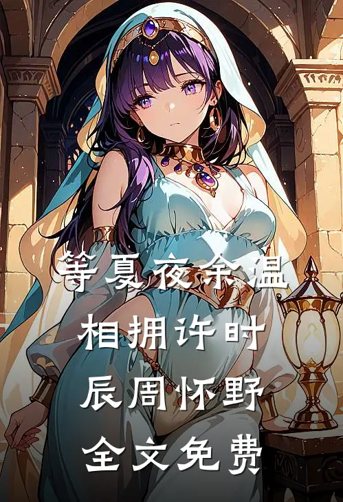 等夏夜余温相拥许时辰周怀野全文免费