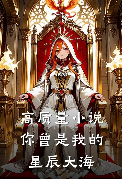 高质量小说你曾是我的星辰大海