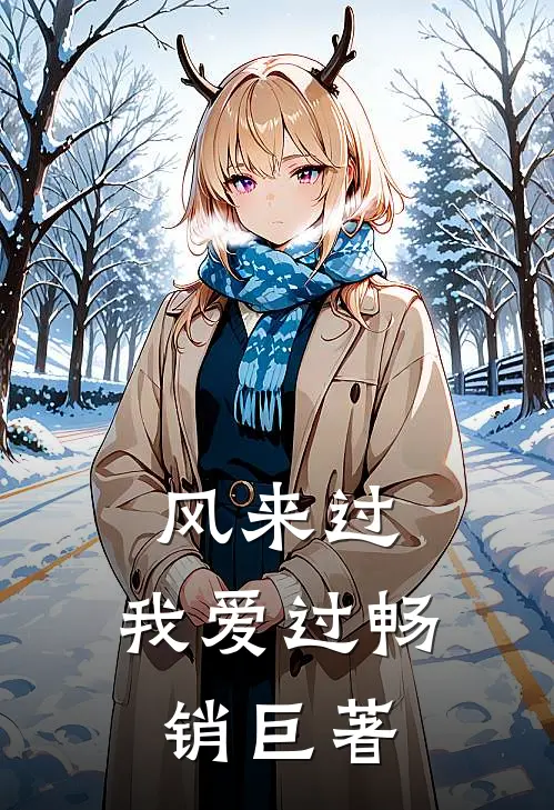 风来过，我爱过畅销巨著
