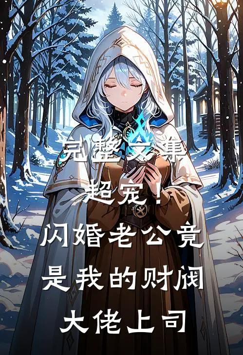 完整文集超宠！闪婚老公竟是我的财阀大佬上司