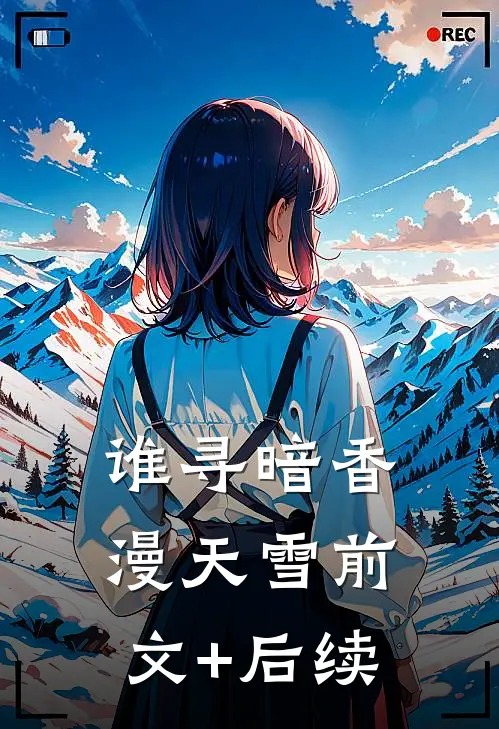 谁寻暗香漫天雪前文+后续