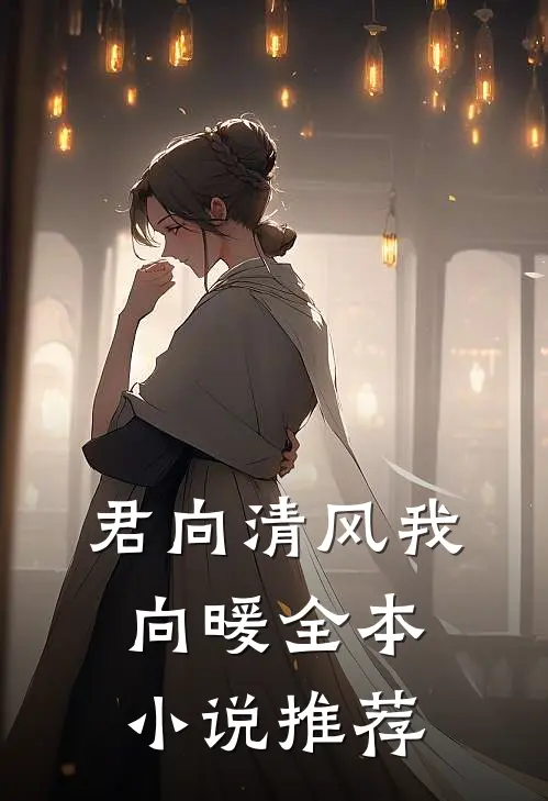 君向清风我向暖全本小说推荐