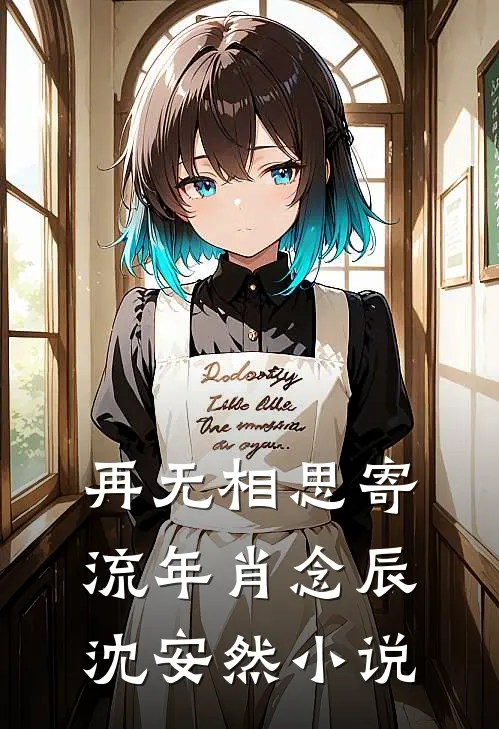 再无相思寄流年肖念辰沈安然小说