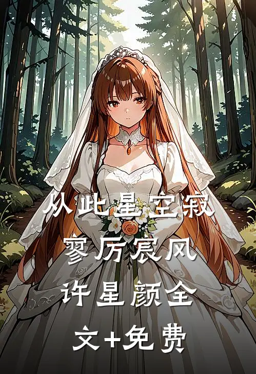 从此星空寂寥厉宸风许星颜全文+免费