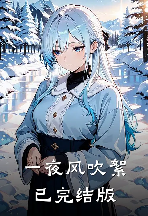 一夜风吹絮已完结版