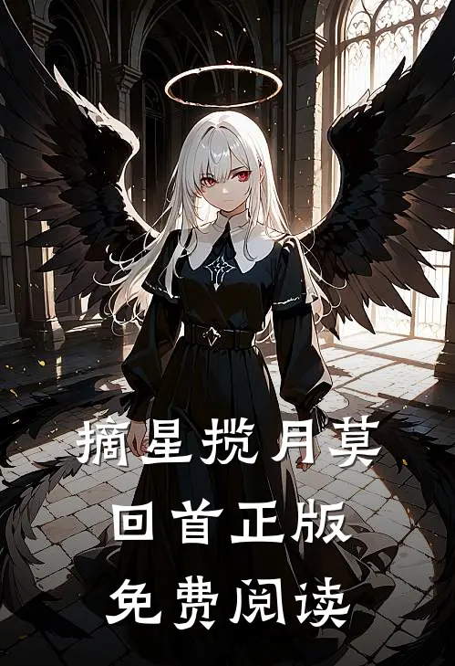 摘星揽月莫回首正版免费阅读