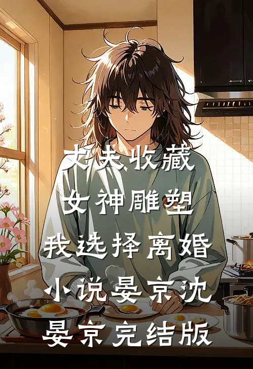 丈夫收藏女神雕塑，我选择离婚小说晏京沈晏京完结版