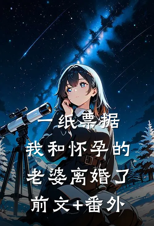 一纸票据，我和怀孕的老婆离婚了前文+番外