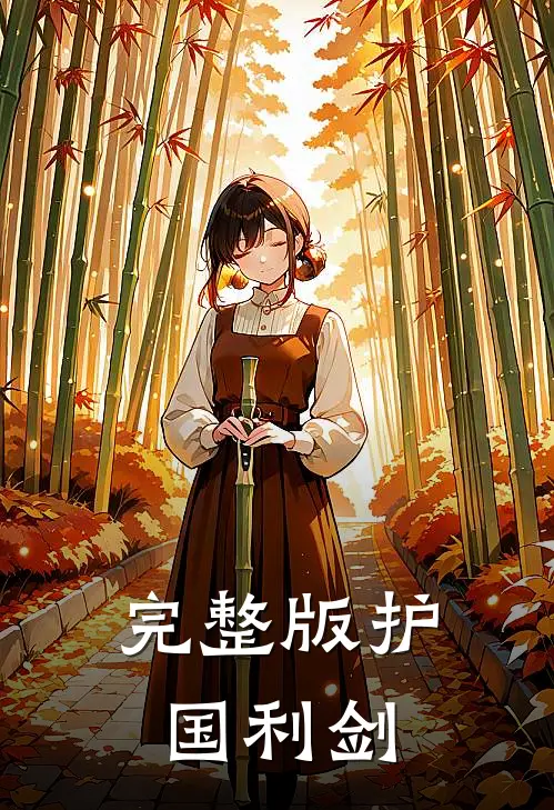 完整版护国利剑