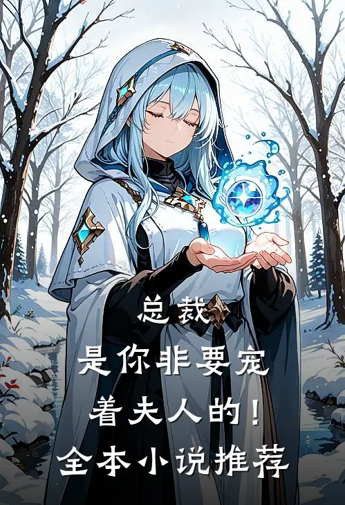 总裁，是你非要宠着夫人的！全本小说推荐