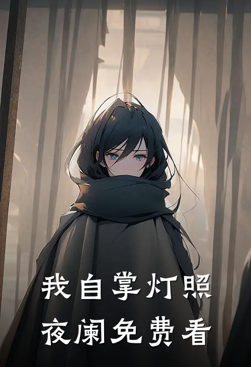 我自掌灯照夜阑免费看