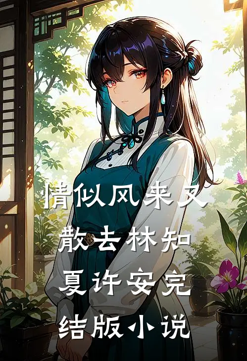情似风来又散去林知夏许安完结版小说