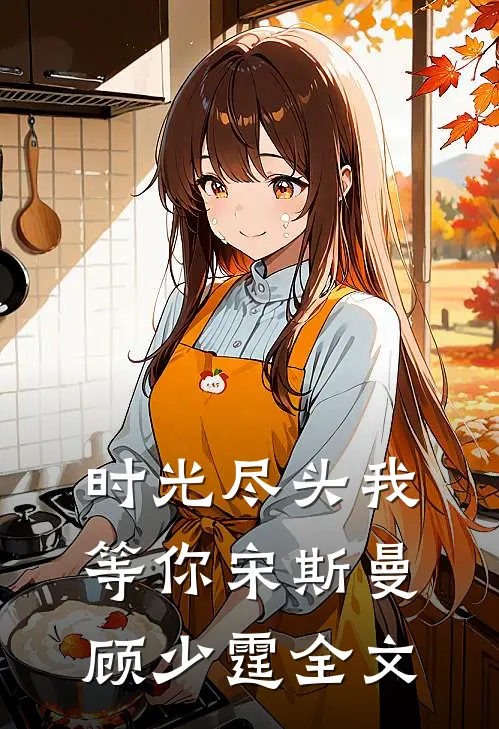时光尽头我等你宋斯曼顾少霆全文
