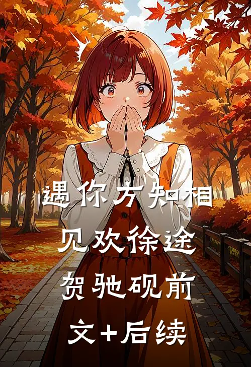 遇你方知相见欢徐途贺驰砚前文+后续