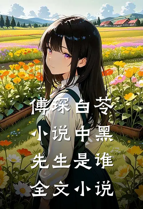 傅琛白苓小说中黑先生是谁全文小说