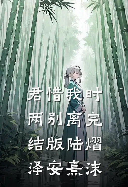 君惜我时两别离完结版陆熠泽安熹沫