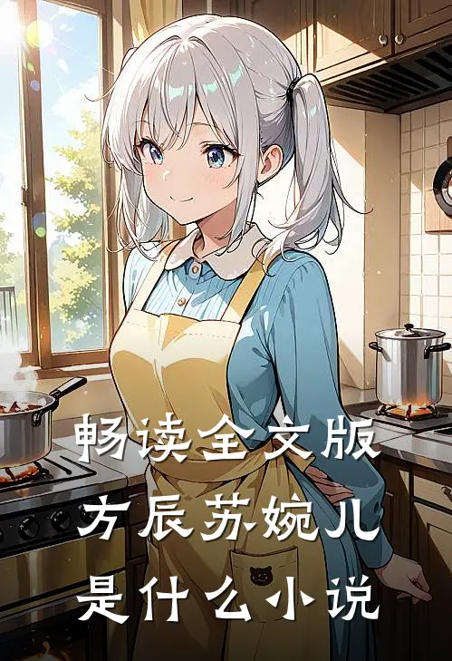 畅读全文版方辰苏婉儿是什么小说