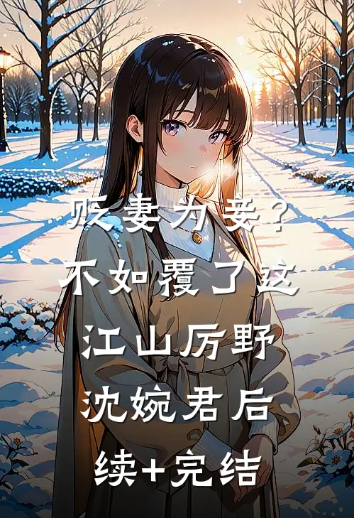 贬妻为妾？不如覆了这江山厉野沈婉君后续+完结