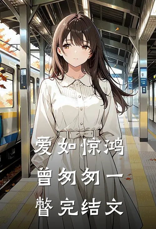 爱如惊鸿，曾匆匆一瞥完结文
