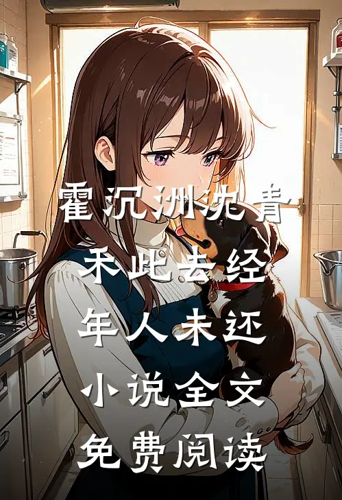 霍沉洲沈青禾此去经年人未还小说全文免费阅读