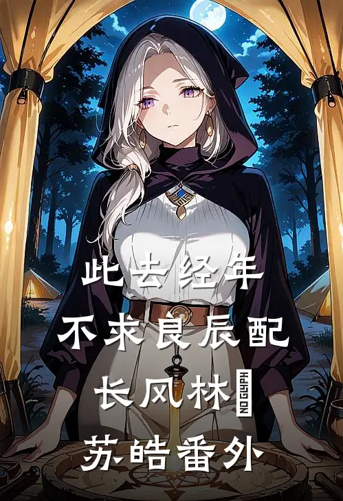 此去经年：不求良辰配长风林玥苏皓番外