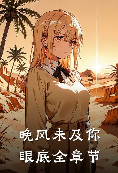 晚风未及你眼底全章节