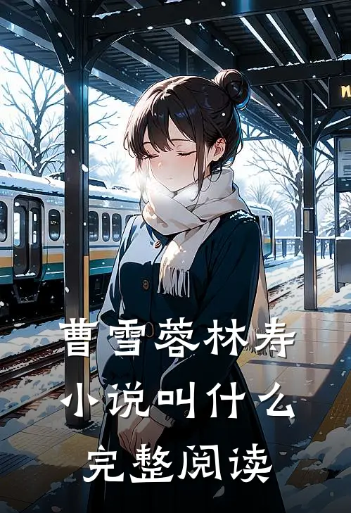 曹雪蓉林寿小说叫什么完整阅读