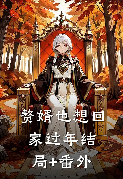 赘婿也想回家过年结局+番外