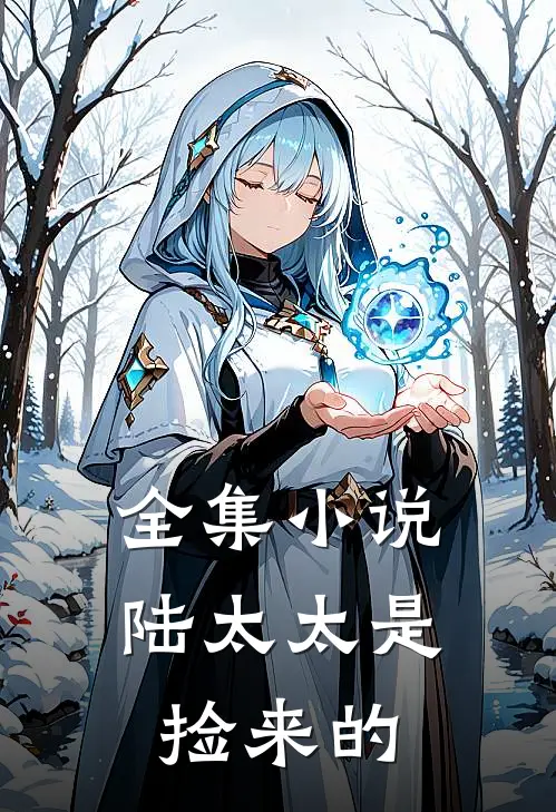 全集小说陆太太是捡来的