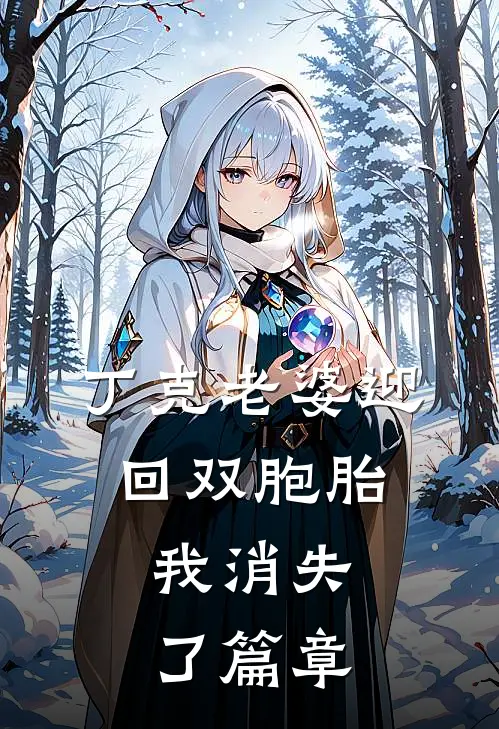 丁克老婆迎回双胞胎，我消失了篇章