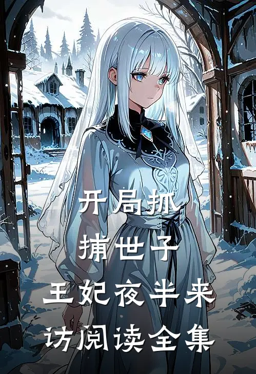 开局抓捕世子，王妃夜半来访阅读全集