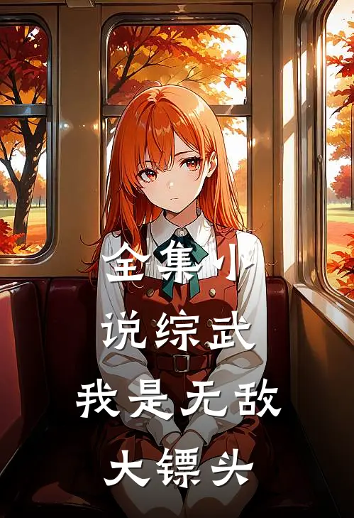 全集小说综武：我是无敌大镖头