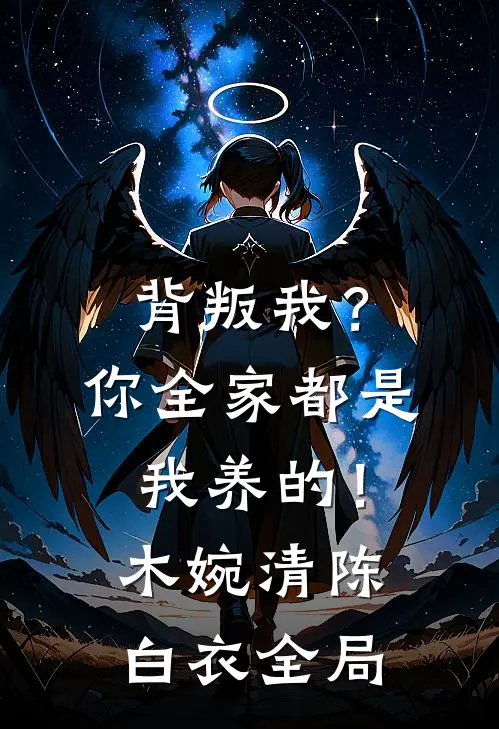 背叛我？你全家都是我养的！木婉清陈白衣全局