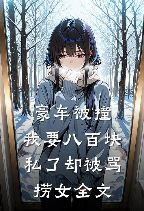 豪车被撞，我要八百块私了却被骂捞女全文