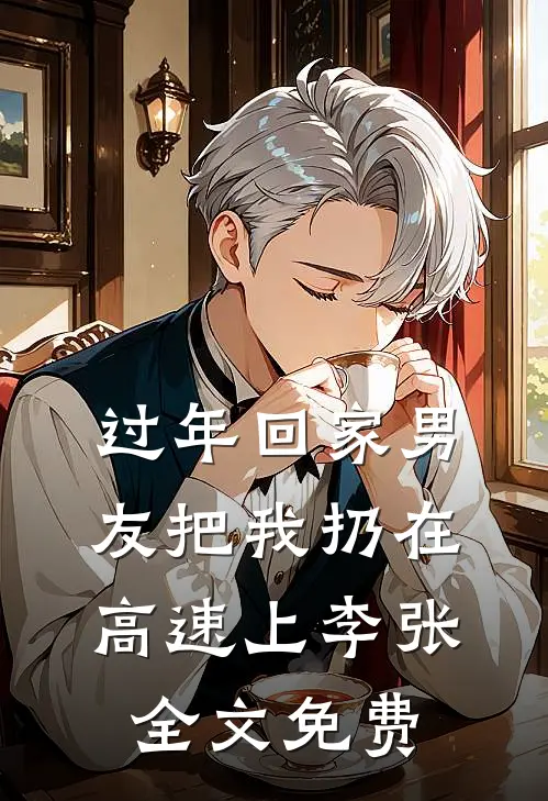 过年回家男友把我扔在高速上李张全文免费