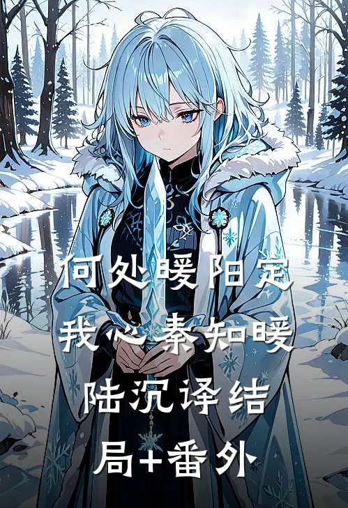 何处暖阳定我心秦知暖陆沉译结局+番外