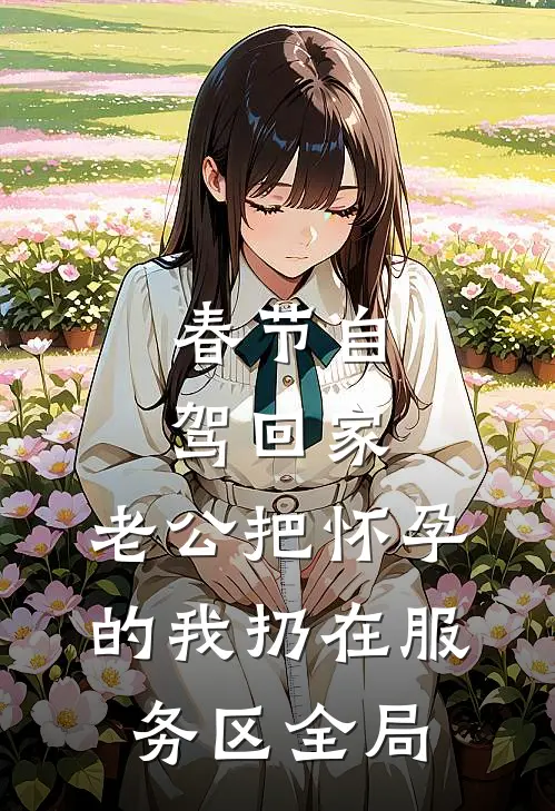春节自驾回家，老公把怀孕的我扔在服务区全局