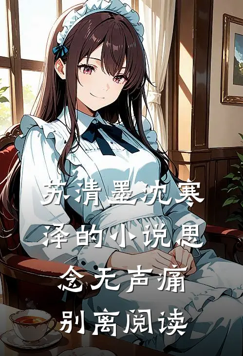 苏清墨沈寒泽的小说思念无声痛别离阅读