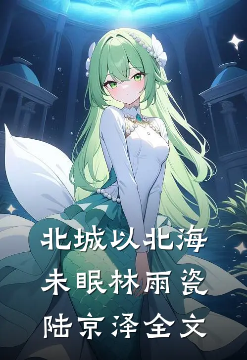 北城以北海未眠林雨瓷陆京泽全文