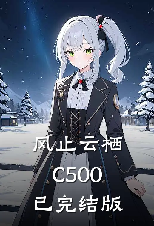 风止云栖C500已完结版
