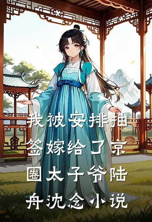 我被安排抽签嫁给了京圈太子爷陆舟沈念小说