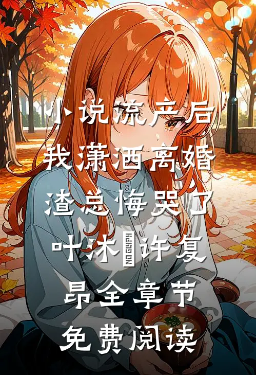 小说流产后我潇洒离婚，渣总悔哭了叶沐笒许复昂全章节免费阅读