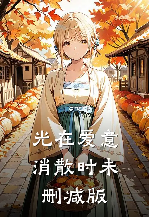 光在爱意消散时未删减版