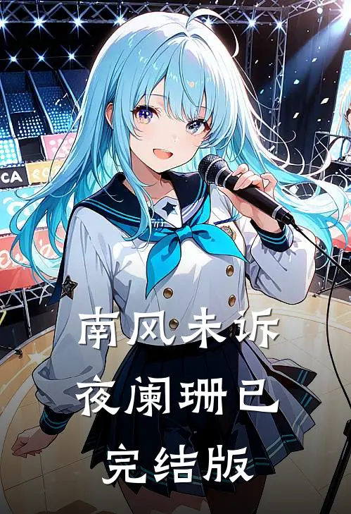 南风未诉夜阑珊已完结版