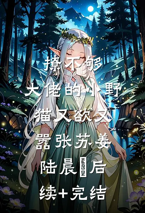 撩不够，大佬的小野猫又欲又嚣张苏姜陆晨矅后续+完结