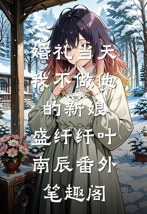 婚礼当天，我不做他的新娘：盛纤纤叶南辰番外笔趣阁